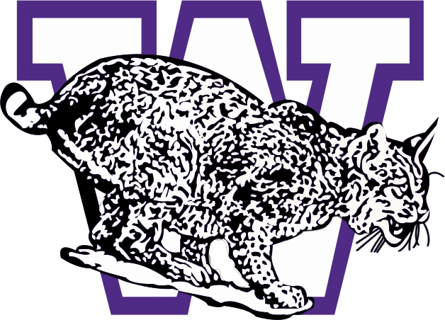 Weber State Wildcats 1983-1996 Secondary Logo diy DTF decal sticker